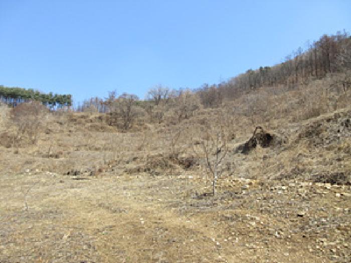 경상북도 예천군 효자면 고항리 178 전 경매 사진 14