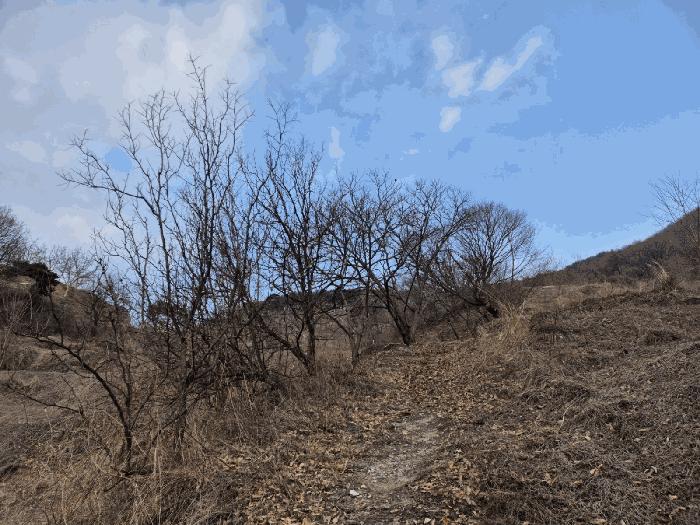 경상북도 예천군 효자면 고항리 178 전 경매 사진 3