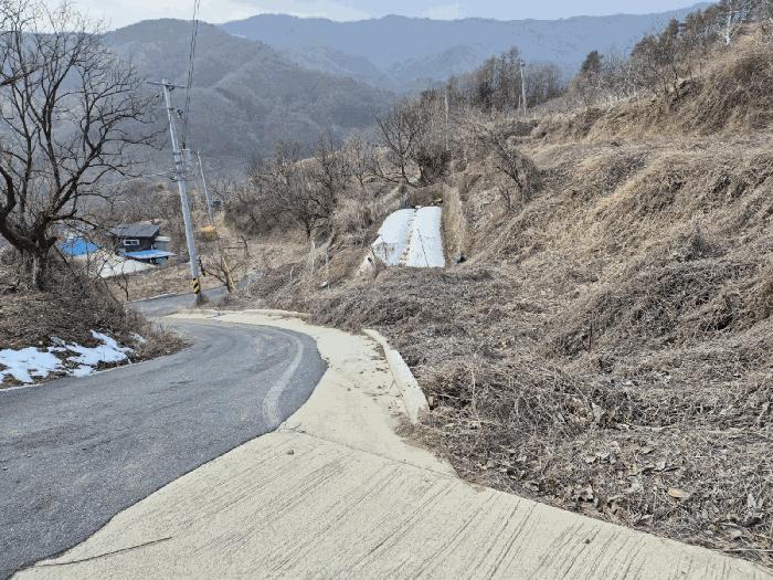 경상북도 예천군 효자면 고항리 178 전 경매 사진 5