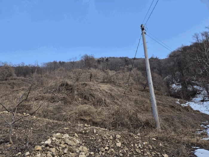 경상북도 예천군 효자면 고항리 178 전 경매 사진 7
