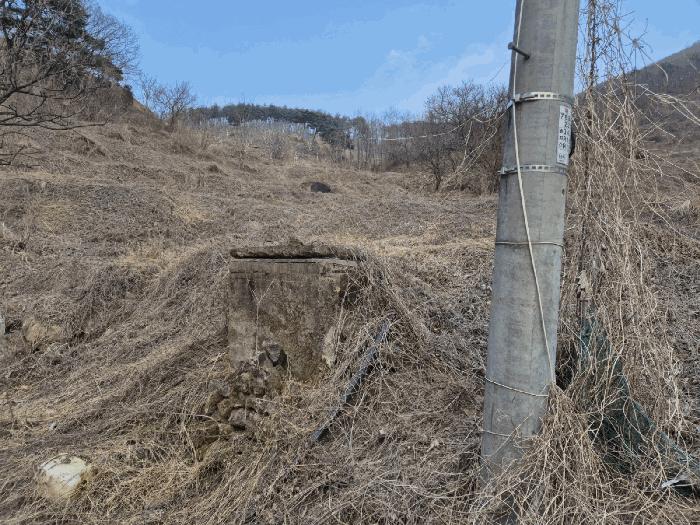 경상북도 예천군 효자면 고항리 184 전 경매 사진 1