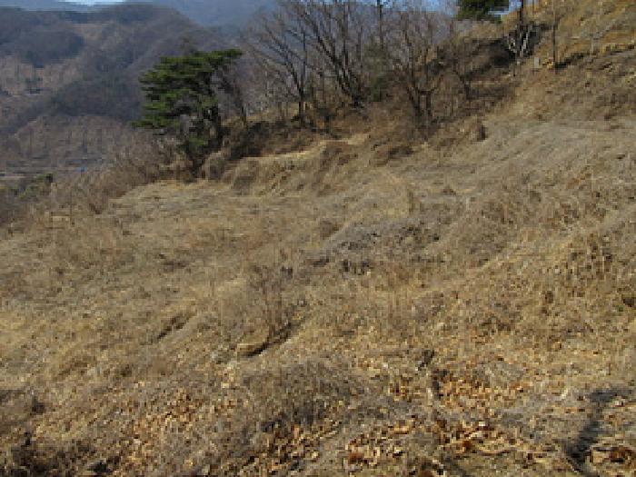 경상북도 예천군 효자면 고항리 184 전 경매 사진 21