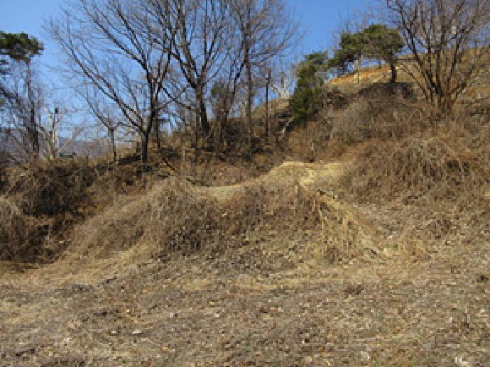 경상북도 예천군 효자면 고항리 184 전 경매 사진 22
