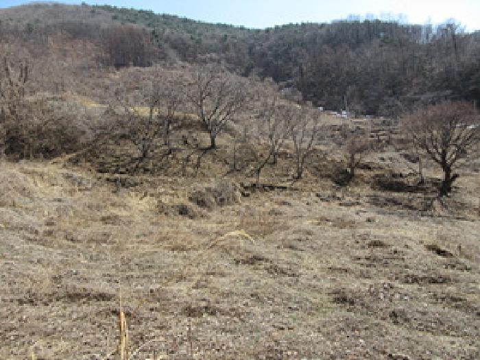 경상북도 예천군 효자면 고항리 184 전 경매 사진 23
