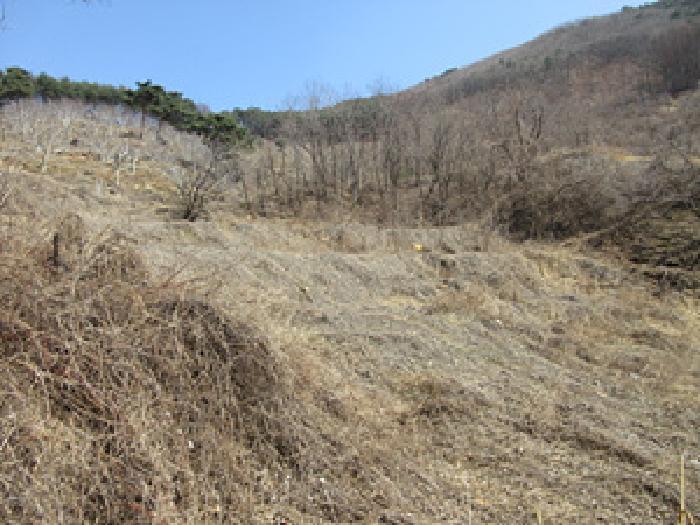 경상북도 예천군 효자면 고항리 184 전 경매 사진 24