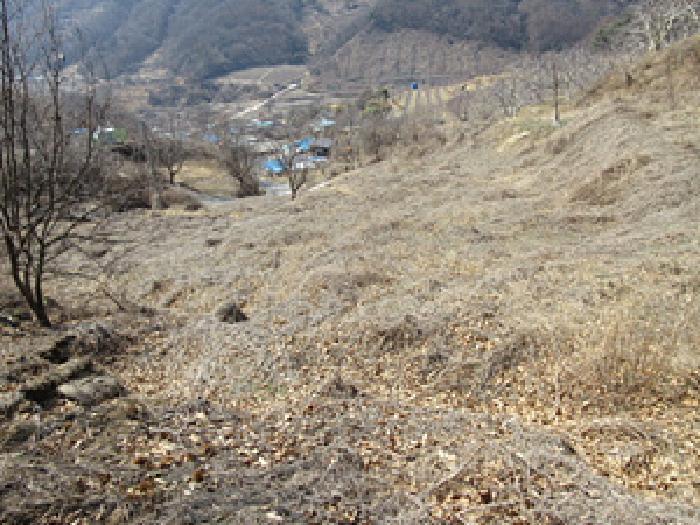 경상북도 예천군 효자면 고항리 184 전 경매 사진 25