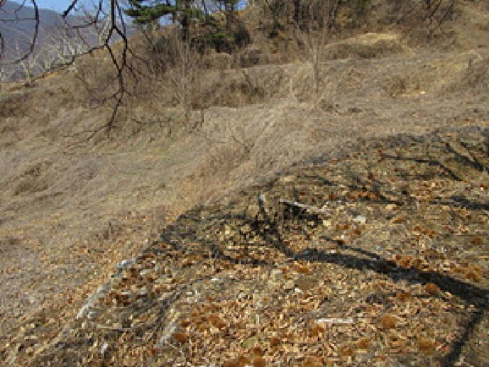 경상북도 예천군 효자면 고항리 184 전 경매 사진 26