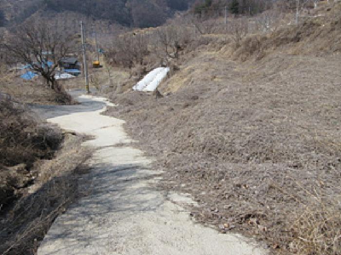 경상북도 예천군 효자면 고항리 184 전 경매 사진 27