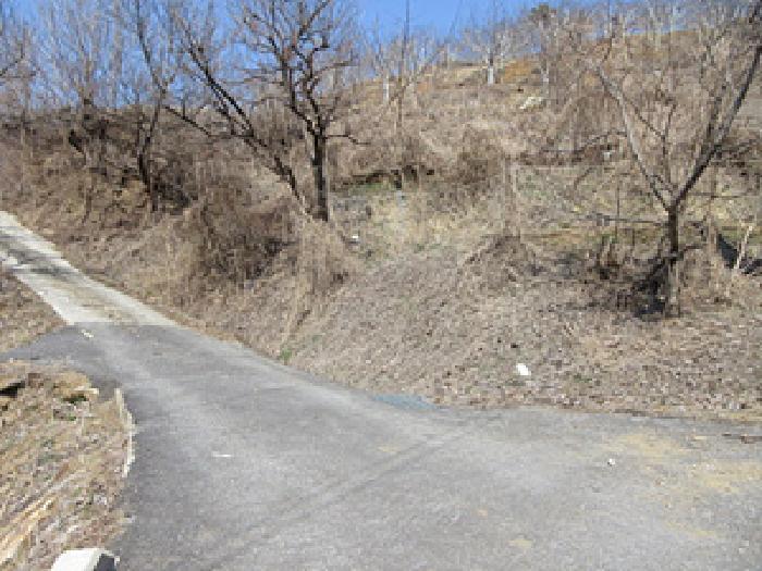경상북도 예천군 효자면 고항리 184 전 경매 사진 28