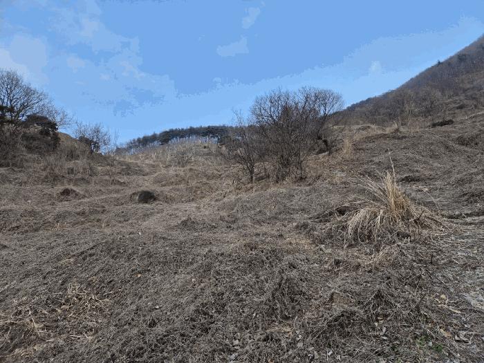 경상북도 예천군 효자면 고항리 184 전 경매 사진 9