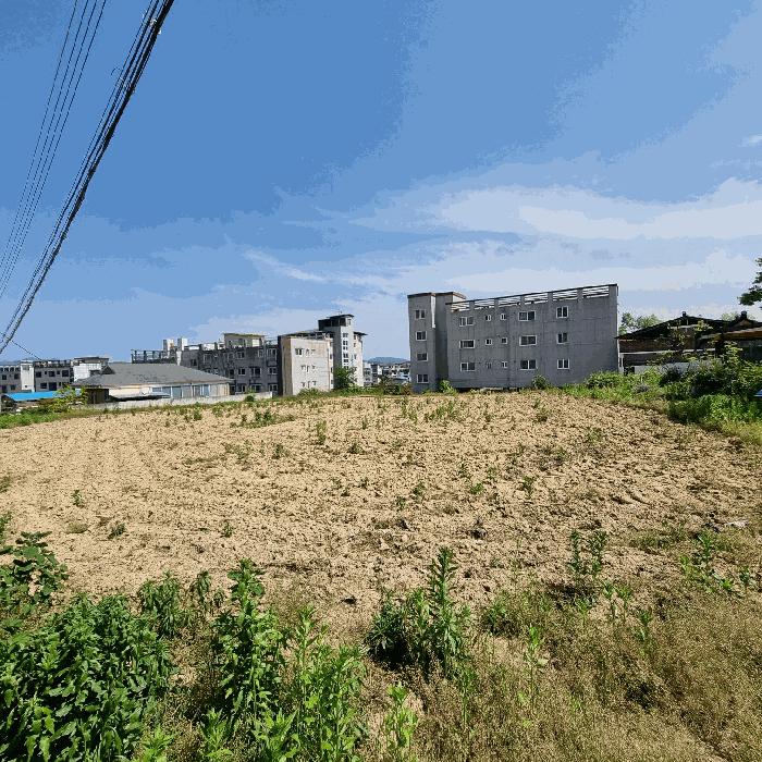 경상북도 예천군 예천읍 대심리 456-5 전 경매 사진 1