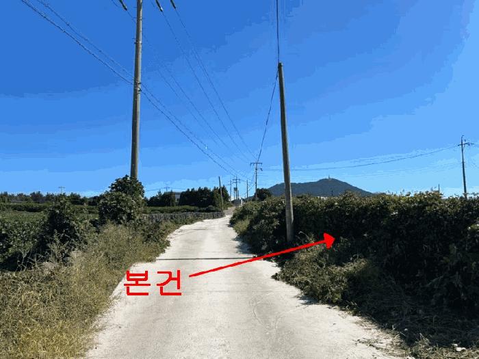 제주특별자치도 제주시 한림읍 상명리 187-5 임야 경매 사진 3
