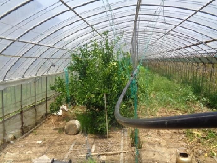 제주특별자치도 제주시 애월읍 하귀2리 2930-3 전 경매 사진 17