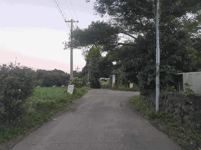 제주특별자치도 서귀포시 표선면 성읍리 985-2 전 경매 사진 3