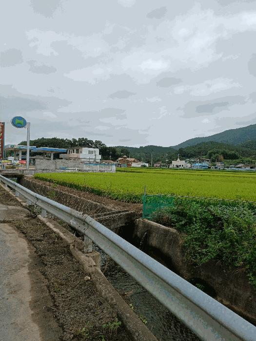 경상북도 경주시 내남면 월산리 1299-7 답 경매 사진 1