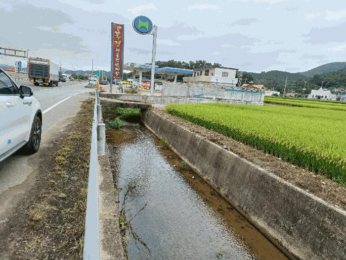 경상북도 경주시 내남면 월산리 1299-7 답 경매 사진 3