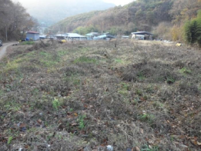 경상북도 고령군 개진면 양전리 90-1 대지 경매 사진 12