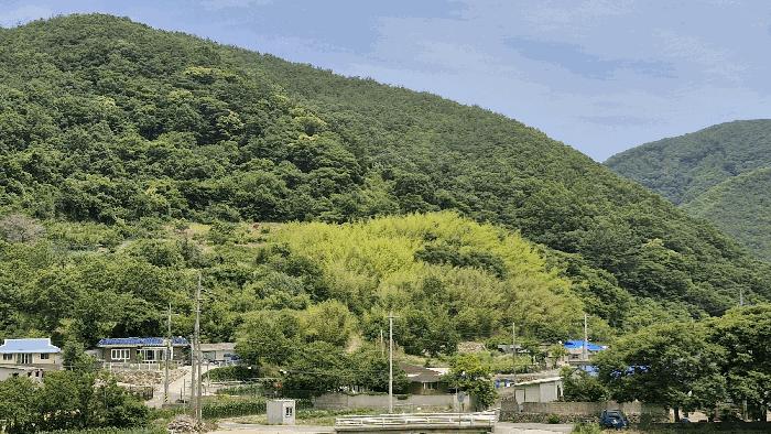경상북도 경주시 산내면 내일리 275 전 경매 사진 2