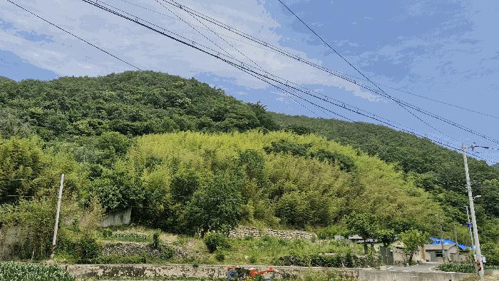 경상북도 경주시 산내면 내일리 275 전 경매 사진 5