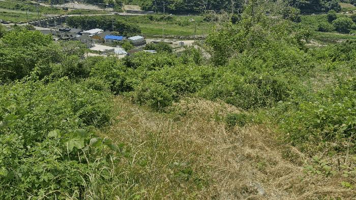경상북도 경주시 산내면 내일리 275 전 경매 사진 8
