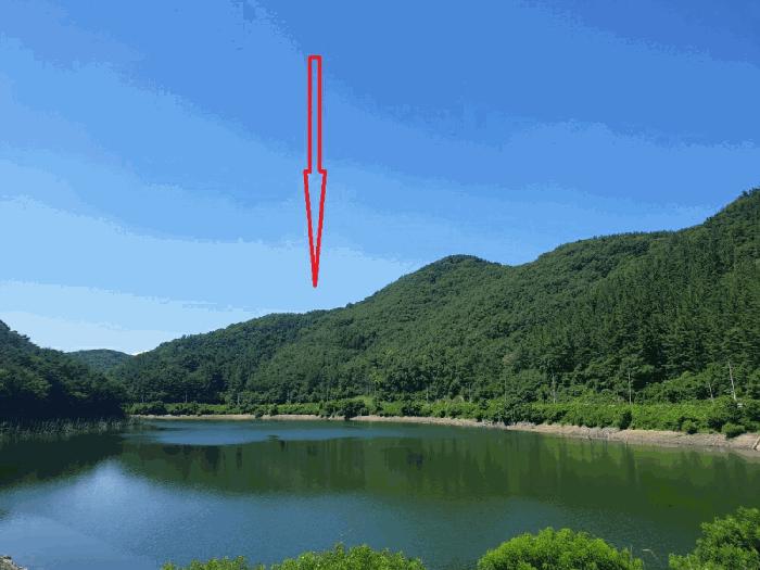 경상북도 경주시 건천읍 용명리 산82-10 임야 경매 사진 1