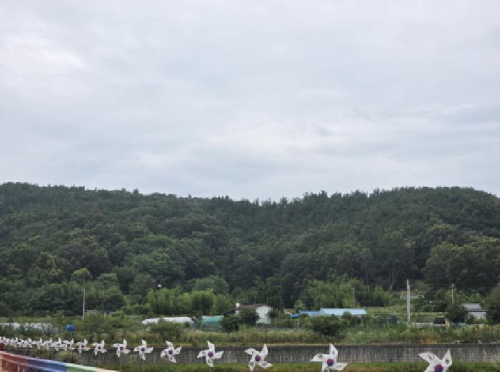 대구광역시 달성군 하빈면 묘리 777 대지 경매 사진 13