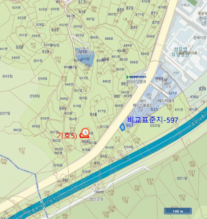 대구광역시 달성군 논공읍 상리 산84-37 임야 경매 사진 10
