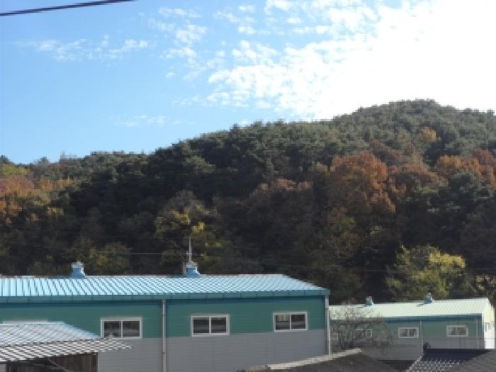 대구광역시 달성군 논공읍 남리 968-2 전 경매 사진 6