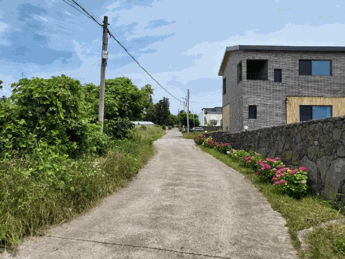 제주특별자치도 서귀포시 안덕면 상창리 1579-3 과수원 경매 사진 3