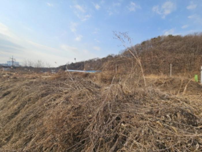 경기도 용인시 처인구 남사읍 북리 435-4 답 경매 사진 6