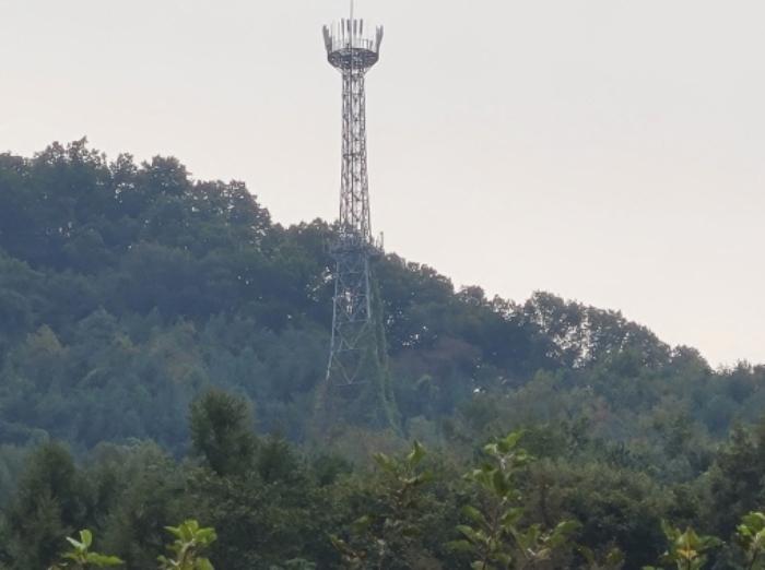 경기도 양평군 서종면 도장리 산51-13 임야 경매 사진 6