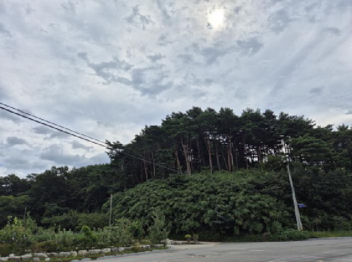 강원특별자치도 고성군 거진읍 화포리 산112-1 임야 경매 사진 11