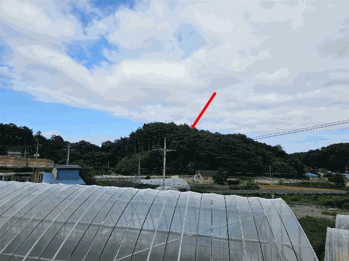 강원특별자치도 고성군 거진읍 화포리 산147-1 임야 경매 사진 4