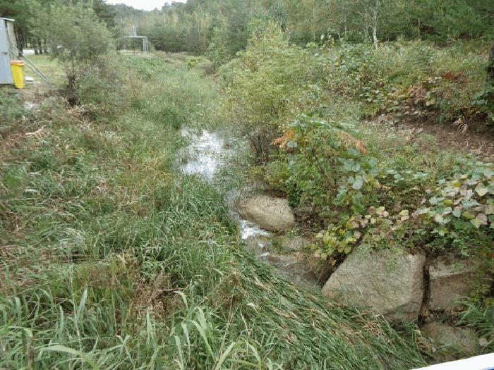 강원특별자치도 고성군 죽왕면 야촌리 산98 임야 경매 사진 3