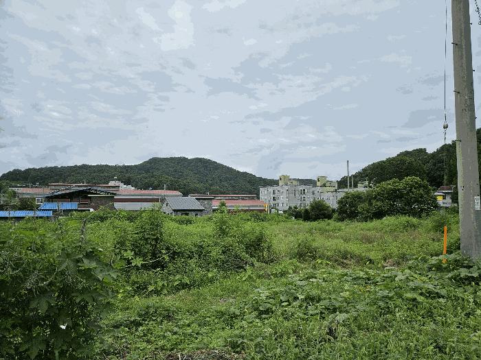 경기 동두천시 전