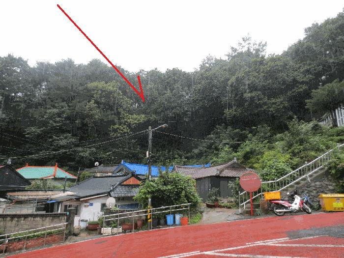강원 고성군 임야