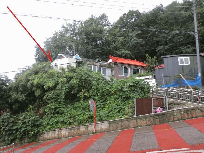 강원특별자치도 고성군 거진읍 거진리 180-2 임야 경매 사진 11