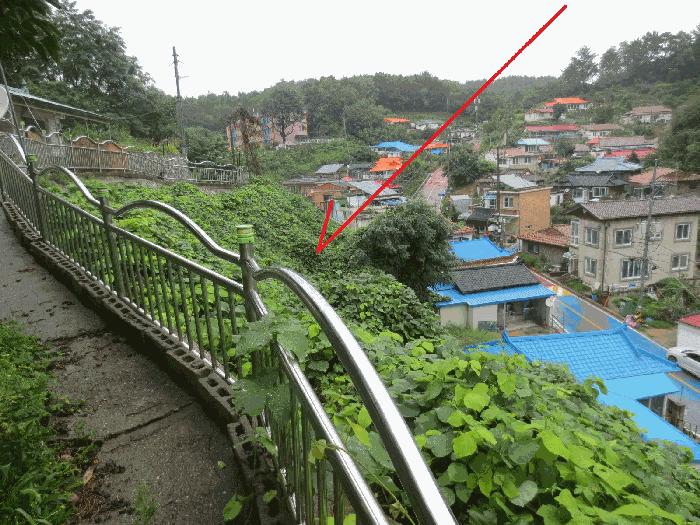 강원특별자치도 고성군 거진읍 거진리 180-2 임야 경매 사진 15