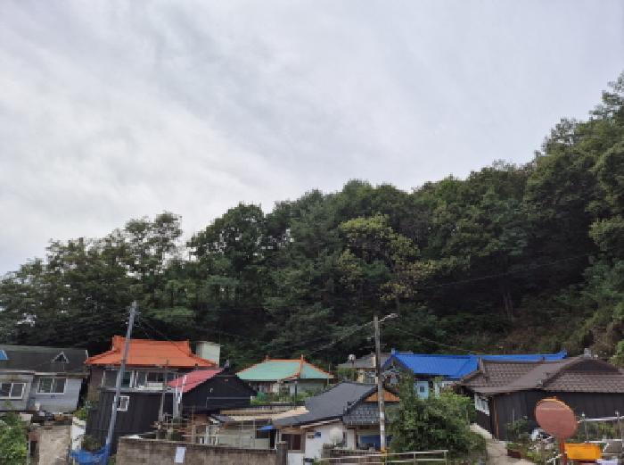 강원특별자치도 고성군 거진읍 거진리 180-2 임야 경매 사진 18