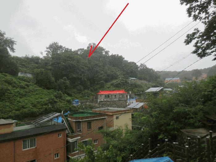 강원특별자치도 고성군 거진읍 거진리 180-2 임야 경매 사진 2