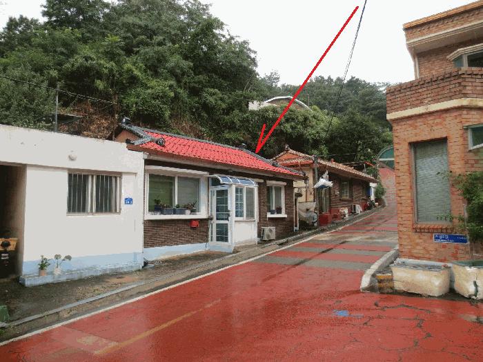 강원특별자치도 고성군 거진읍 거진리 180-2 임야 경매 사진 9
