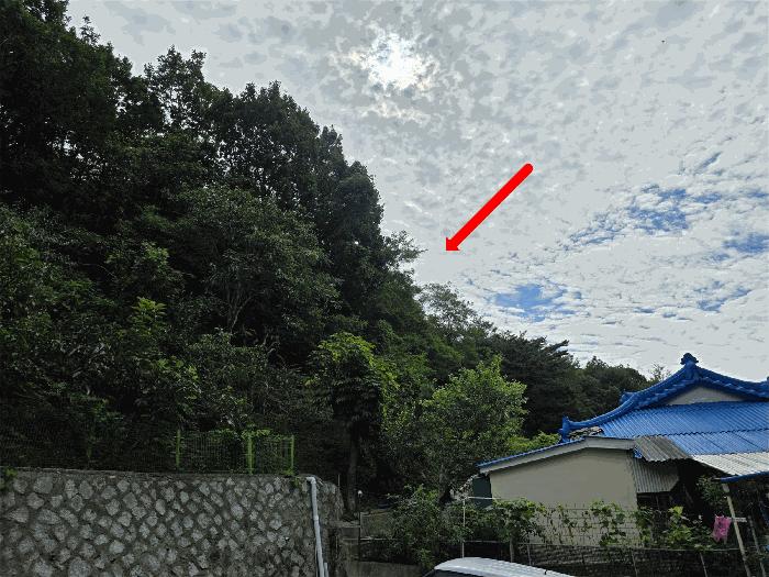 강원특별자치도 고성군 거진읍 거진리 산76 임야 경매 사진 3