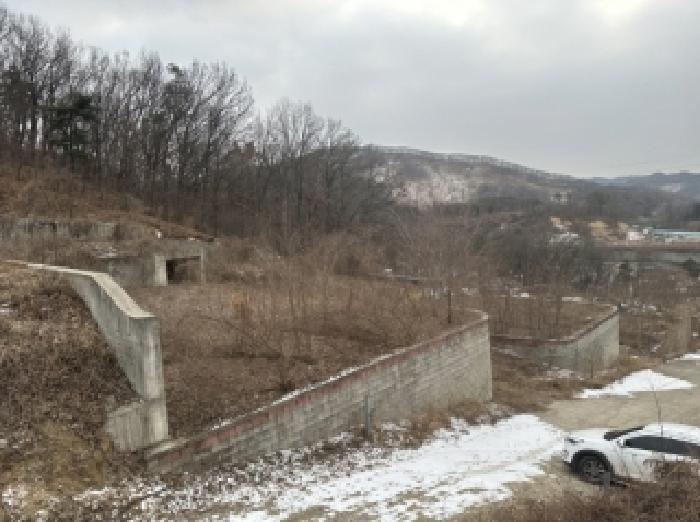 충청북도 청주시 서원구 남이면 수대리 산29 임야 경매 사진 2