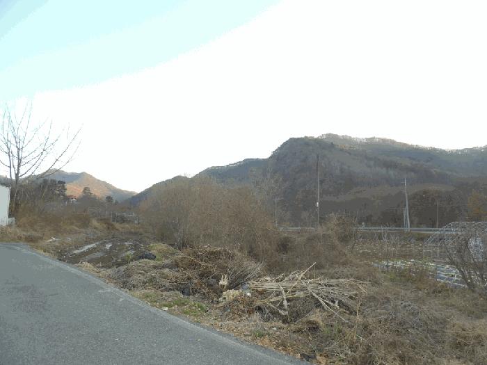 충청북도 괴산군 청천면 지촌리 63 답 경매 사진 1