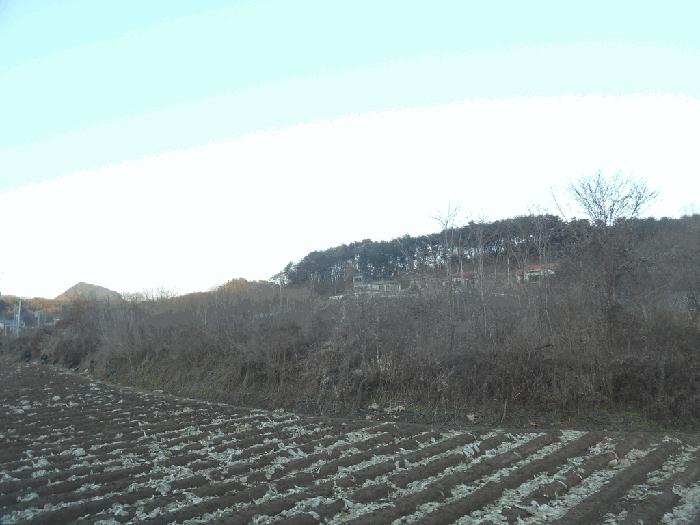 충청북도 괴산군 청천면 지촌리 63 답 경매 사진 2