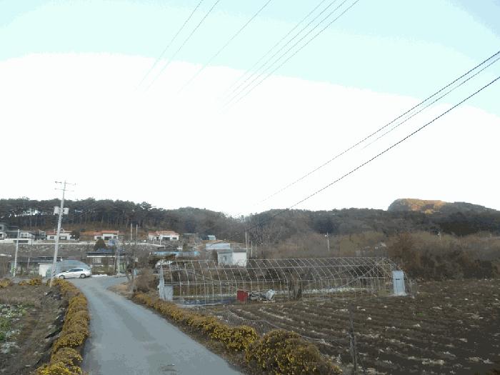 충청북도 괴산군 청천면 지촌리 63 답 경매 사진 3