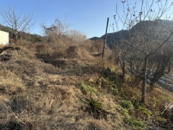 충청북도 괴산군 청천면 지촌리 63 답 경매 사진 4