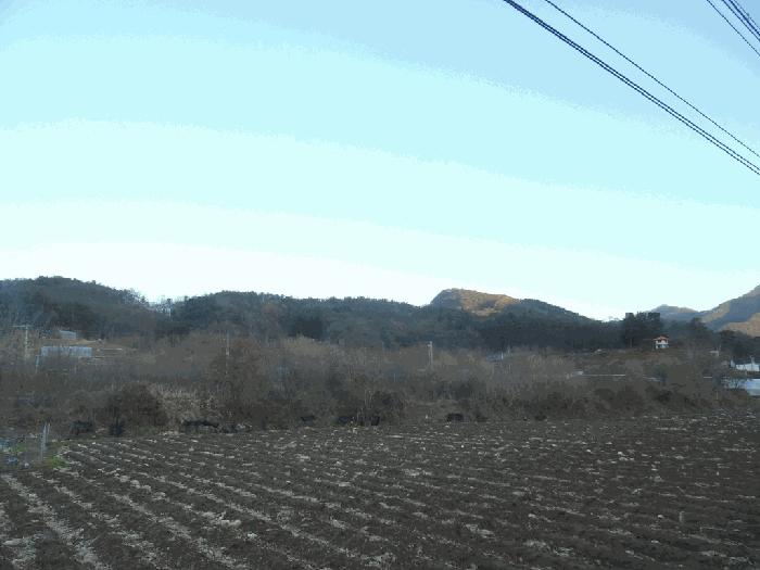 충청북도 괴산군 청천면 지촌리 63 답 경매 사진 5