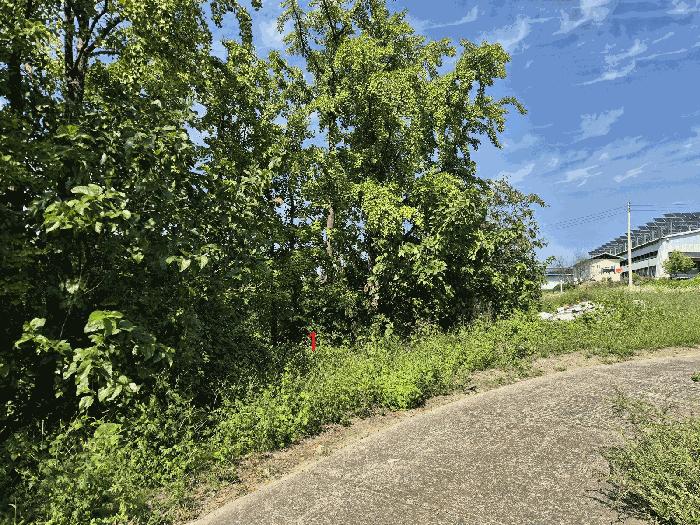 경상북도 경산시 진량읍 평사리 1070-1 답 경매 사진 1