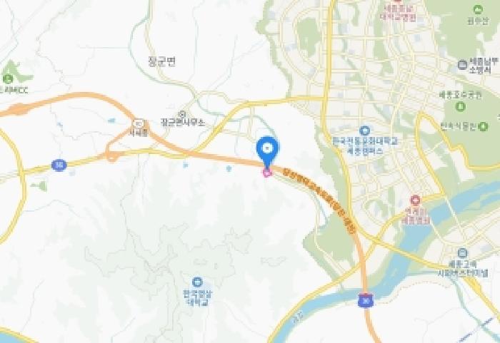 세종특별자치시 장군면 산학리 산2-5 임야 경매 사진 19